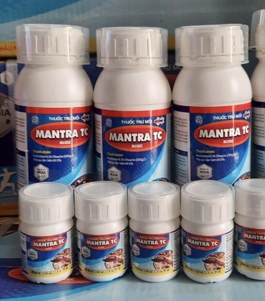 Thuốc diệt mối mọt