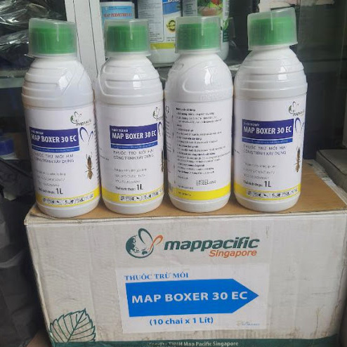 Thuốc diệt mối tận gốc