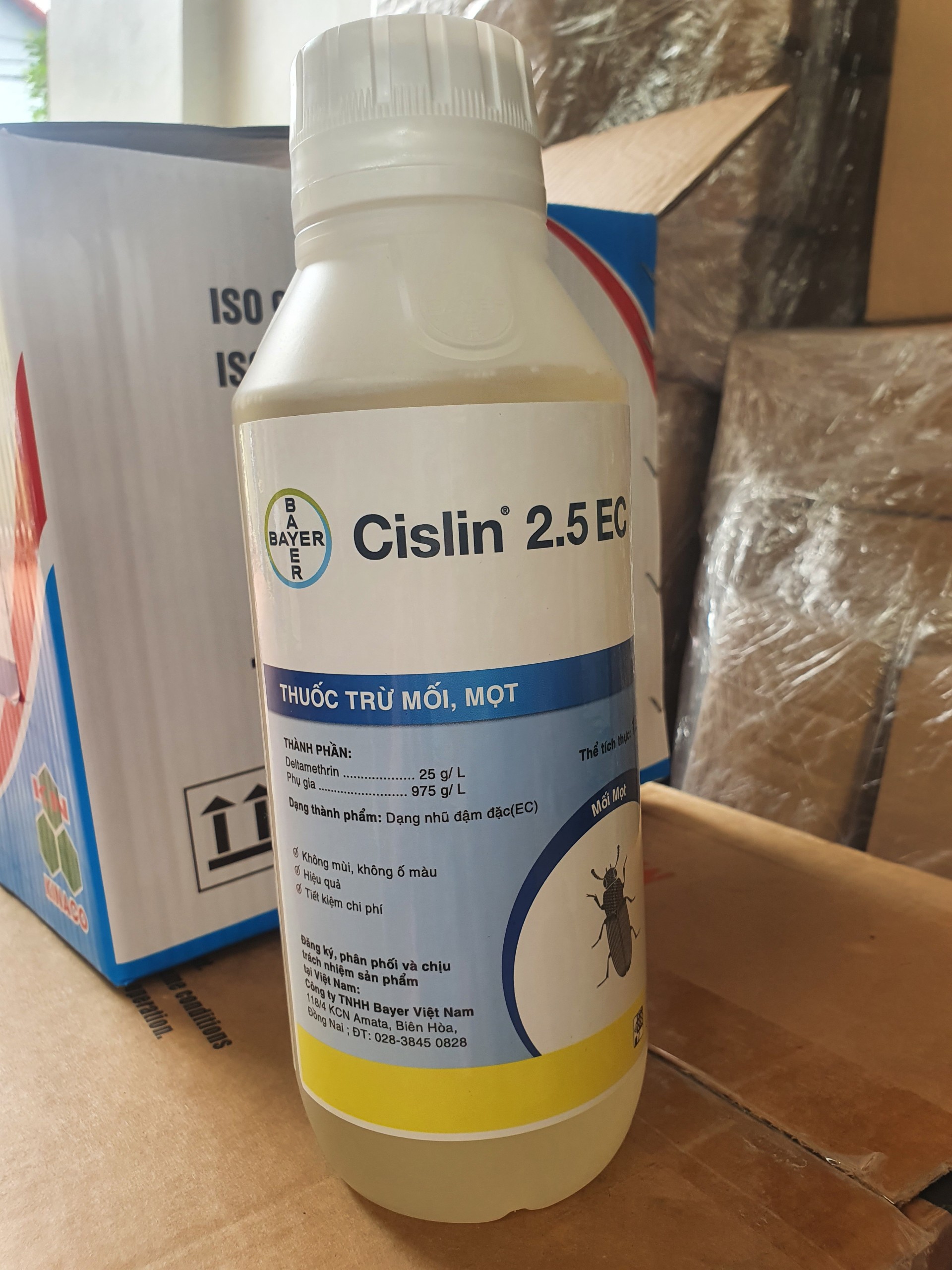 Thuốc diệt mối tận gốc