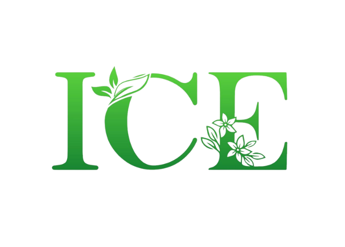 ICE Việt Nam