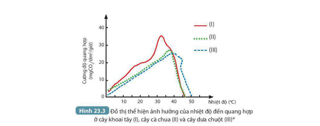 Quang hợp là gì