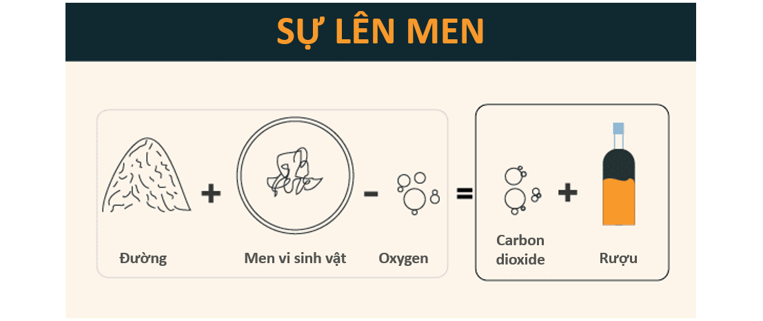 Vi sinh vật là gì