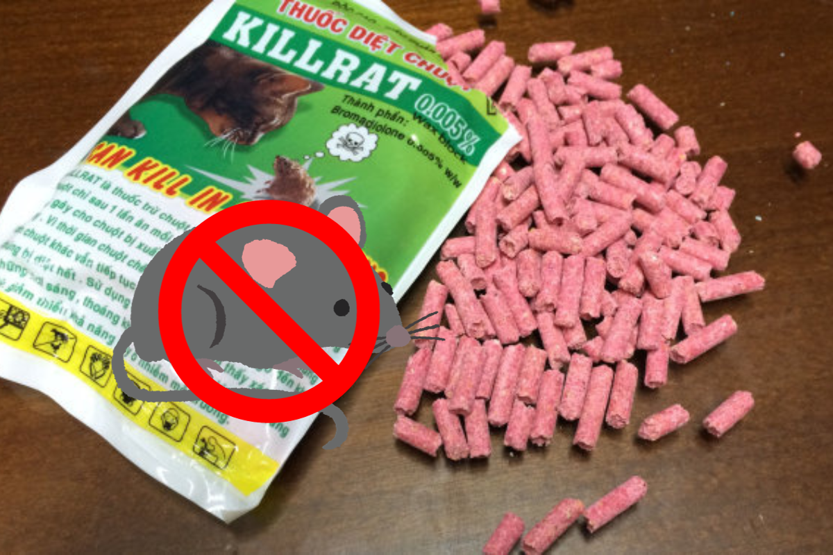 Thuốc diệt chuột cực mạnh​