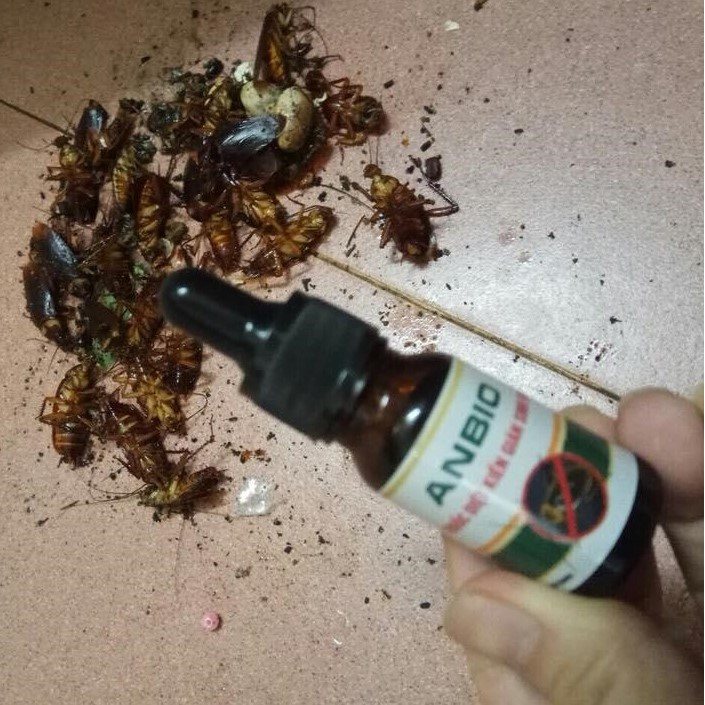 Thuốc diệt kiến gián sinh học​