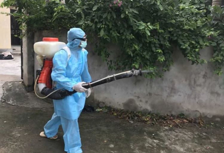 Cách hạn chế muỗi trong nhà