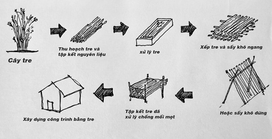 Thuốc diệt mọt gỗ tại Hà Nội