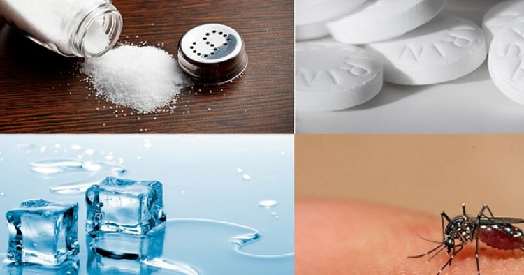 Vết côn trùng cắn sưng đỏ ngứa