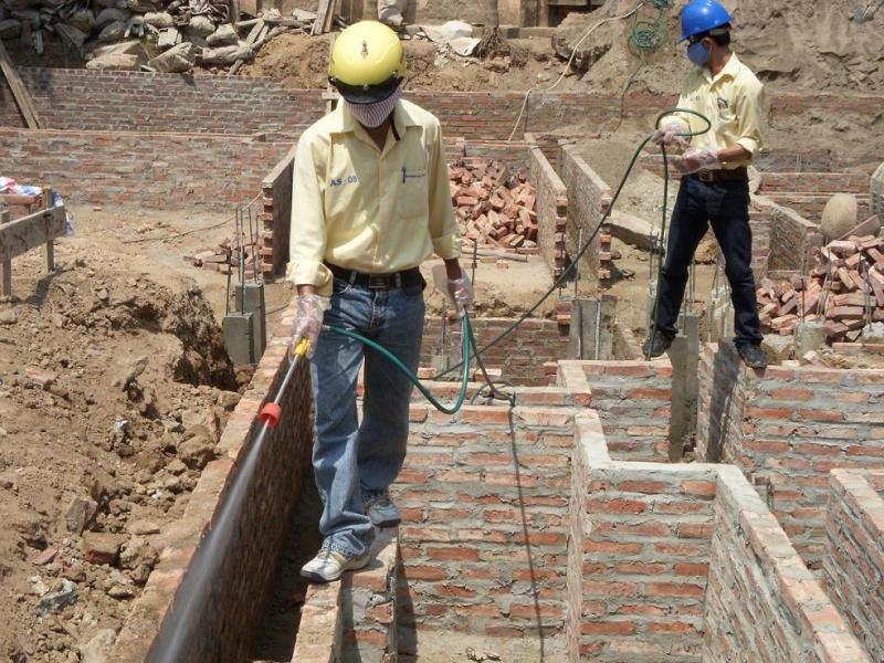 Bột trừ mối