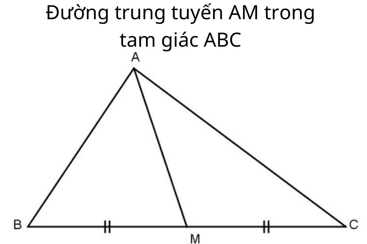 Đường trung tuyến là gì