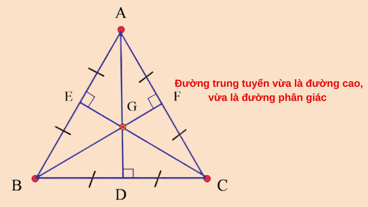 Đường trung tuyến là gì